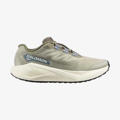 Salomon 492179 Aero Blaze 3 Grvl Erkek Koşu Ayakkabısı