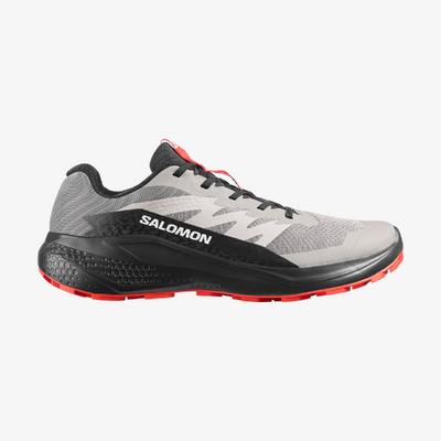 Salomon 480008 Alphaglıde Koşu Ayakkabısı